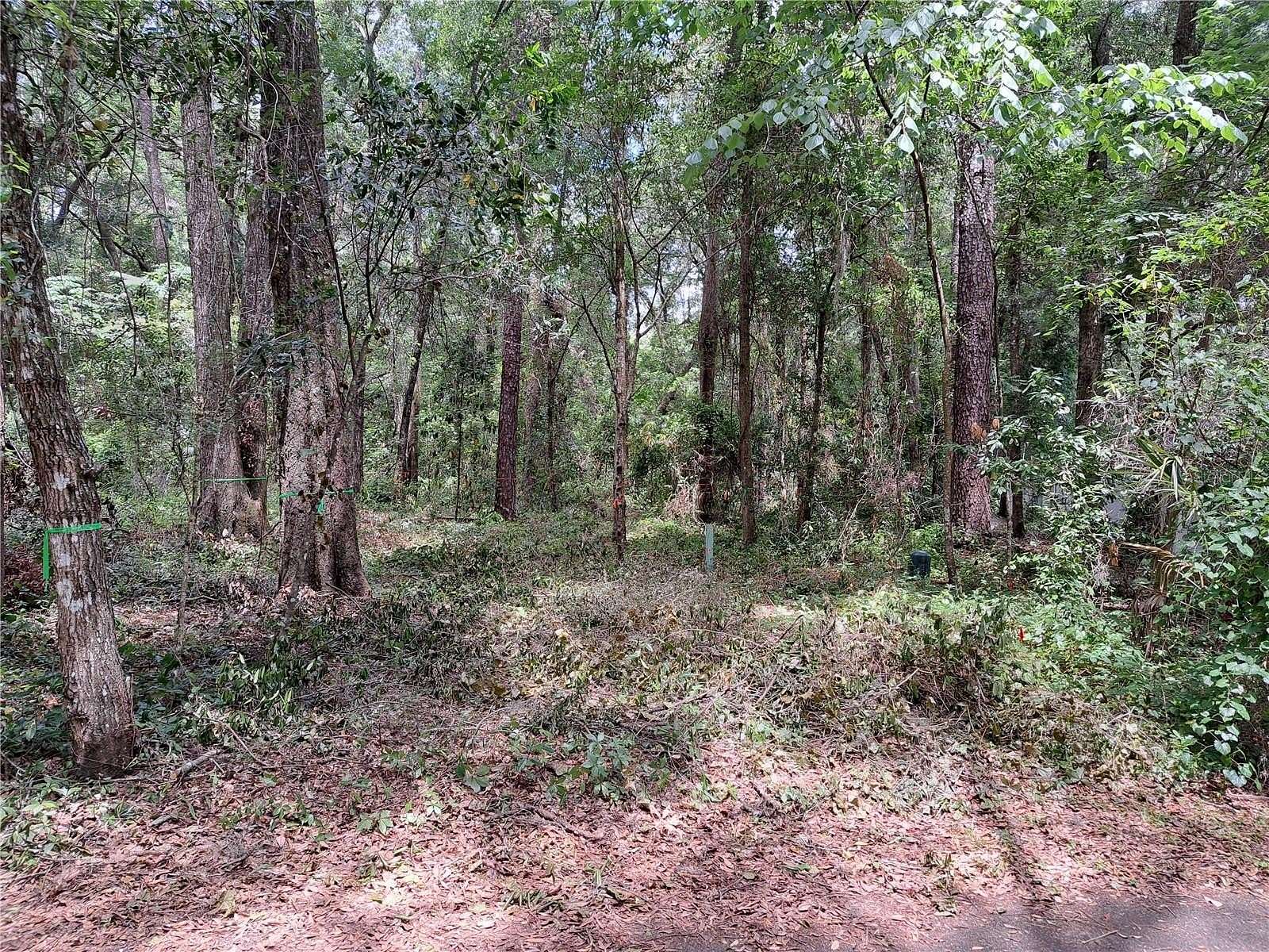 0.25 Acres of Residential Land for Sale in Gainesville, Florida