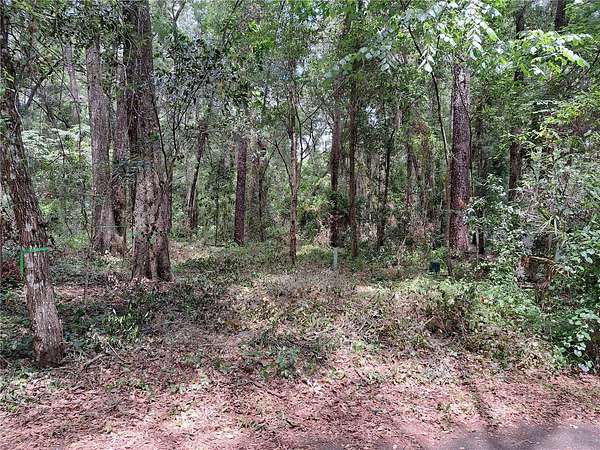0.25 Acres of Residential Land for Sale in Gainesville, Florida