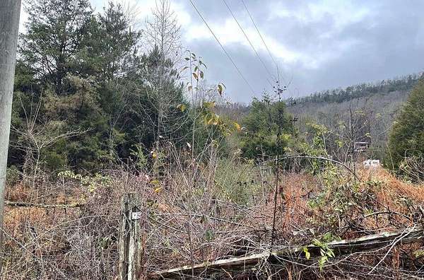 32 Acres of Land for Sale in Madisonville, Tennessee