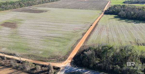 58.5 Acres of Land for Sale in Frisco City, Alabama