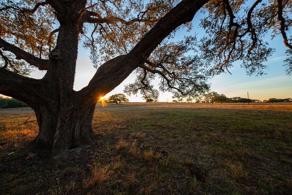 25.5 Acres of Recreational Land for Sale in Goliad, Texas