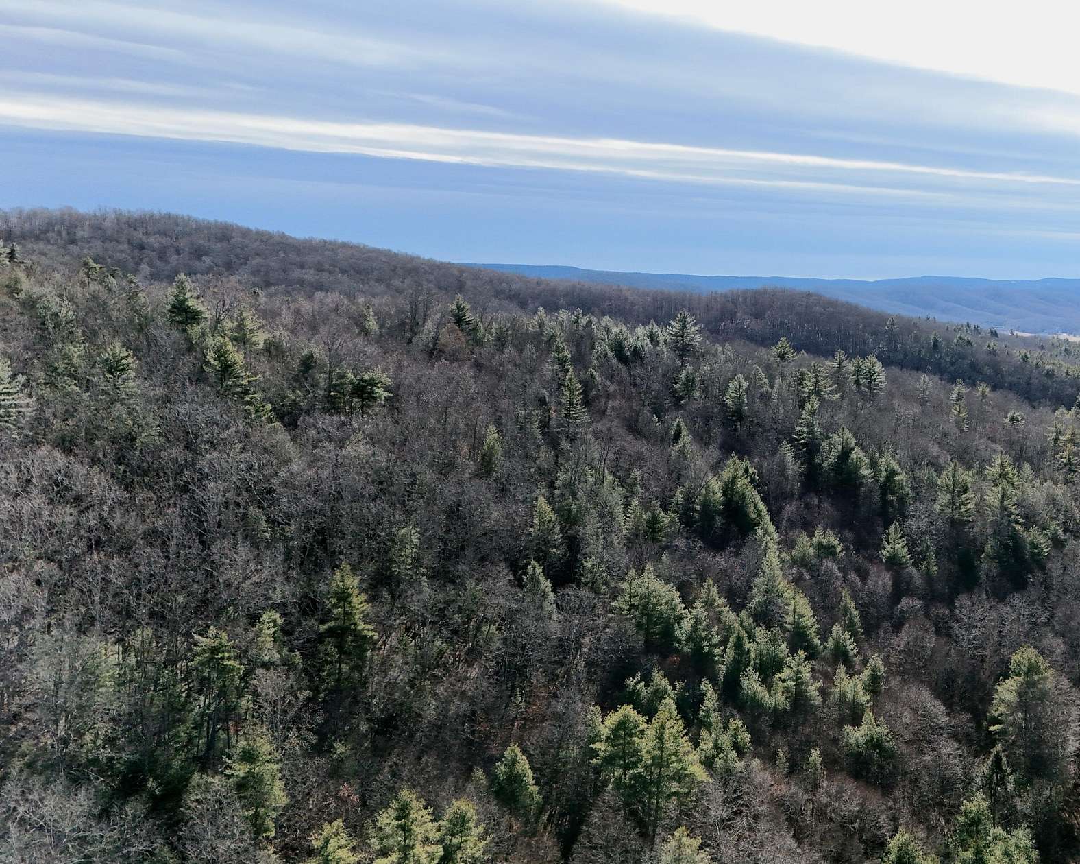 26.9 Acres of Recreational Land for Sale in Gap Mills, West Virginia