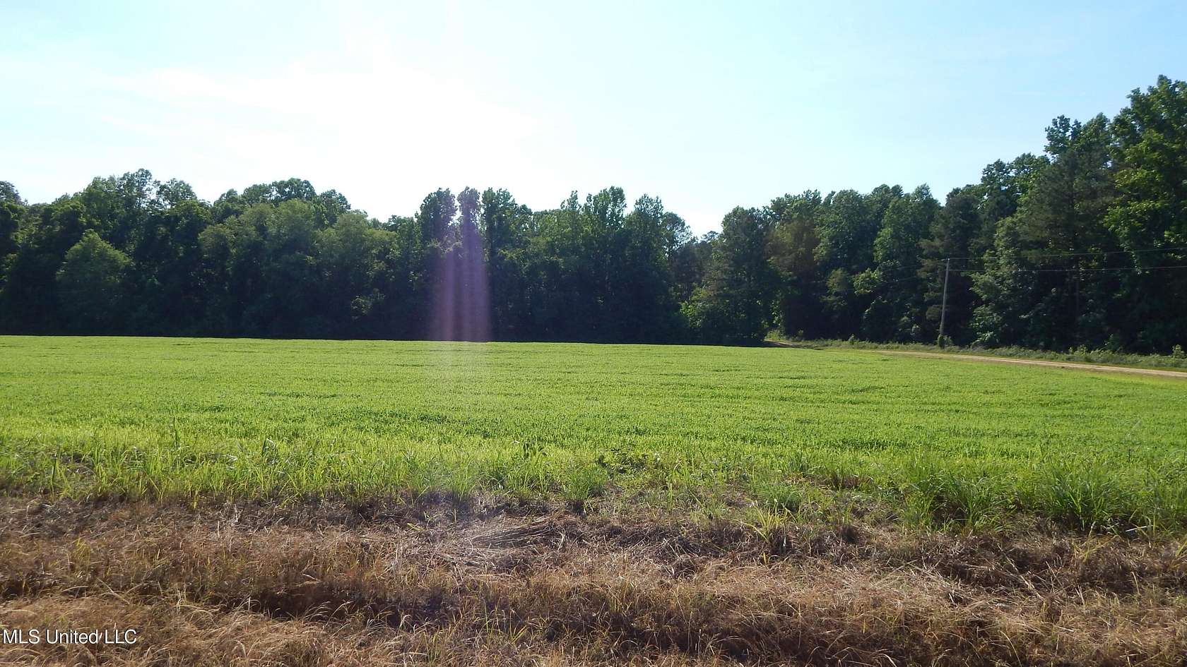 68.7 Acres of Recreational Land & Farm for Sale in Bruce, Mississippi
