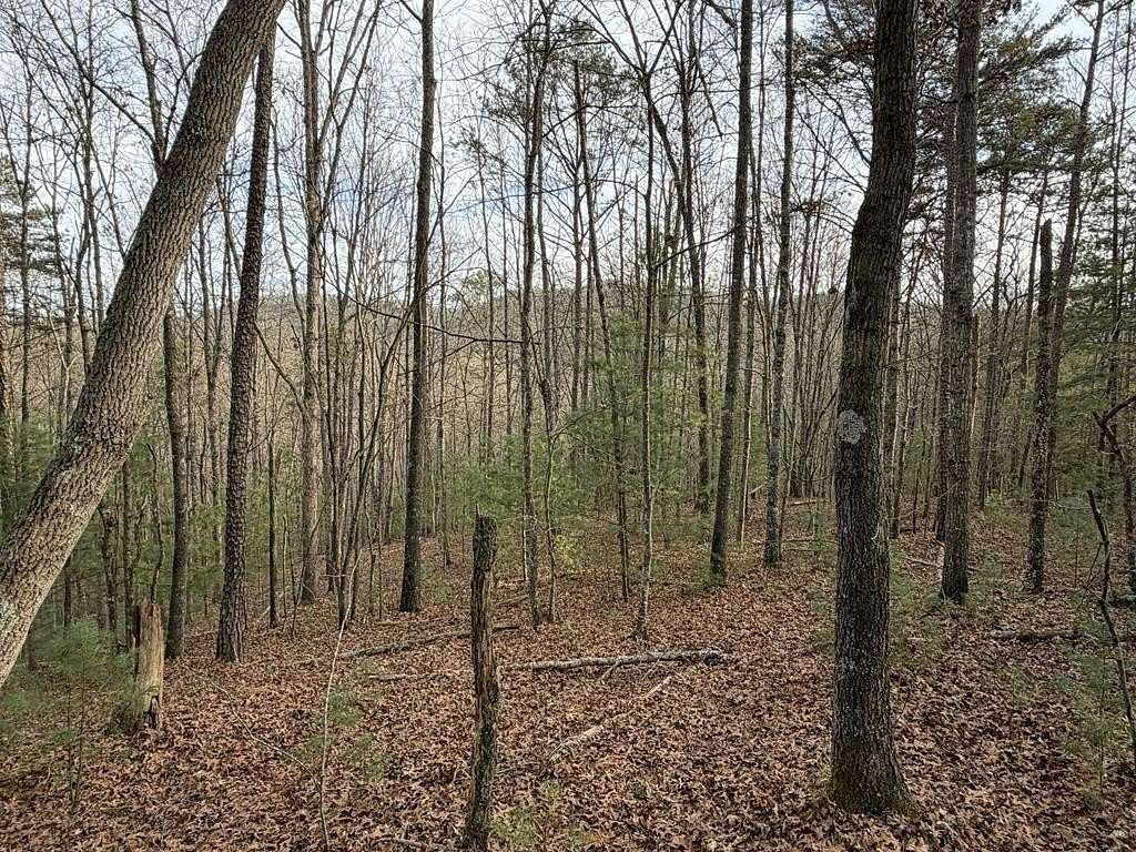 83.9 Acres of Land for Sale in Mineral Bluff, Georgia