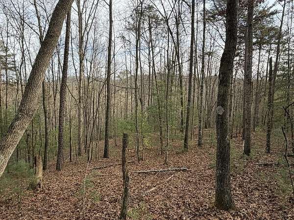 83.9 Acres of Land for Sale in Mineral Bluff, Georgia