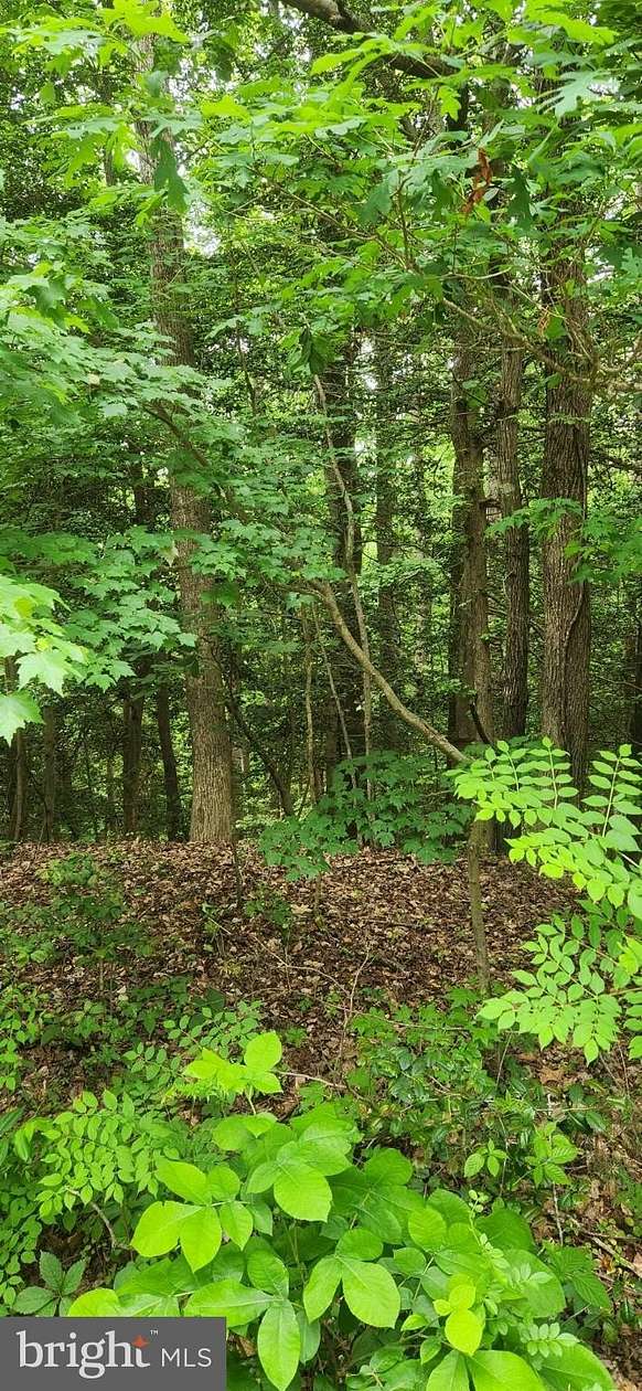 0.66 Acres of Land for Sale in Montross, Virginia