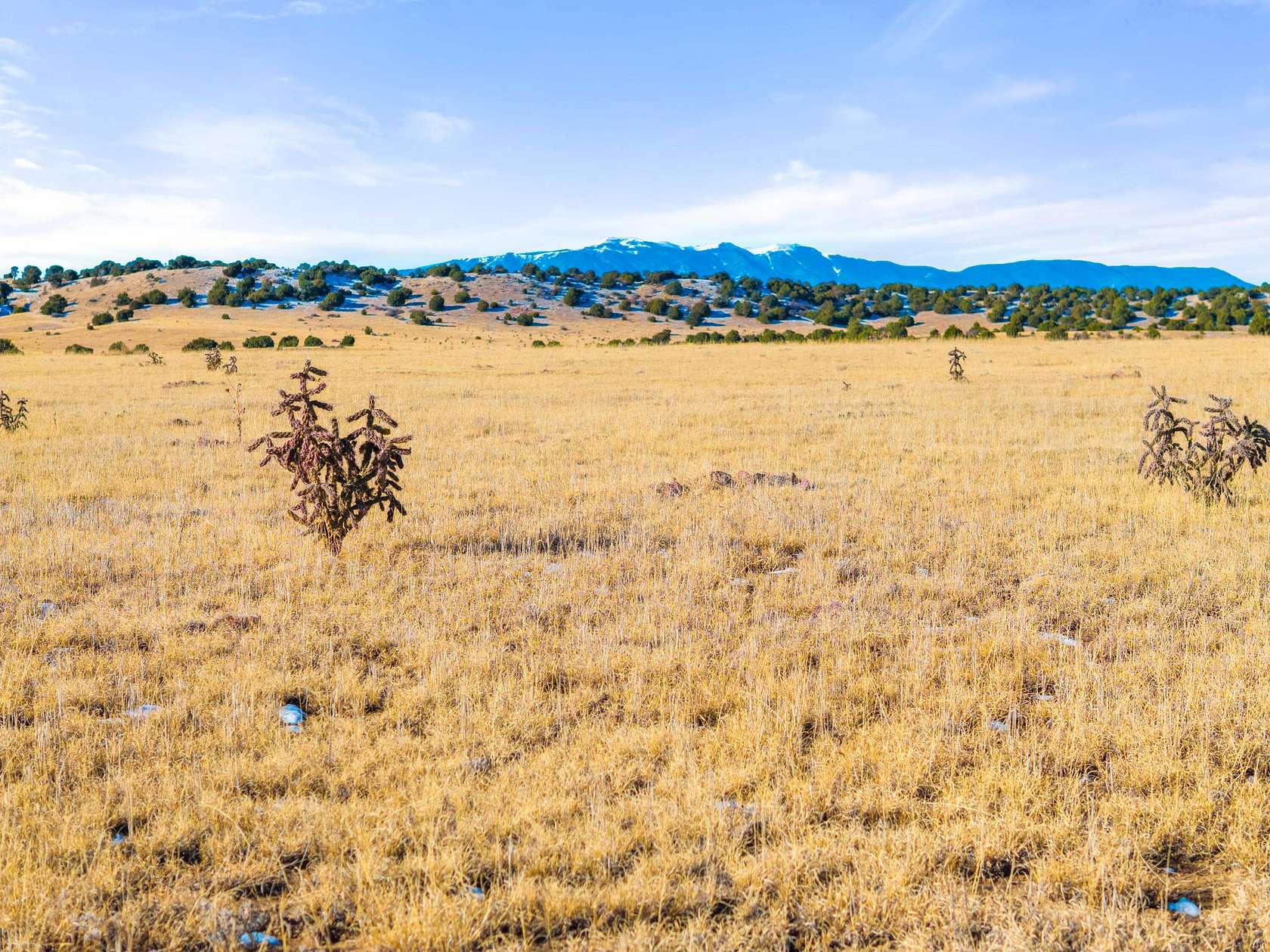 38 Acres of Land for Sale in Rye, Colorado