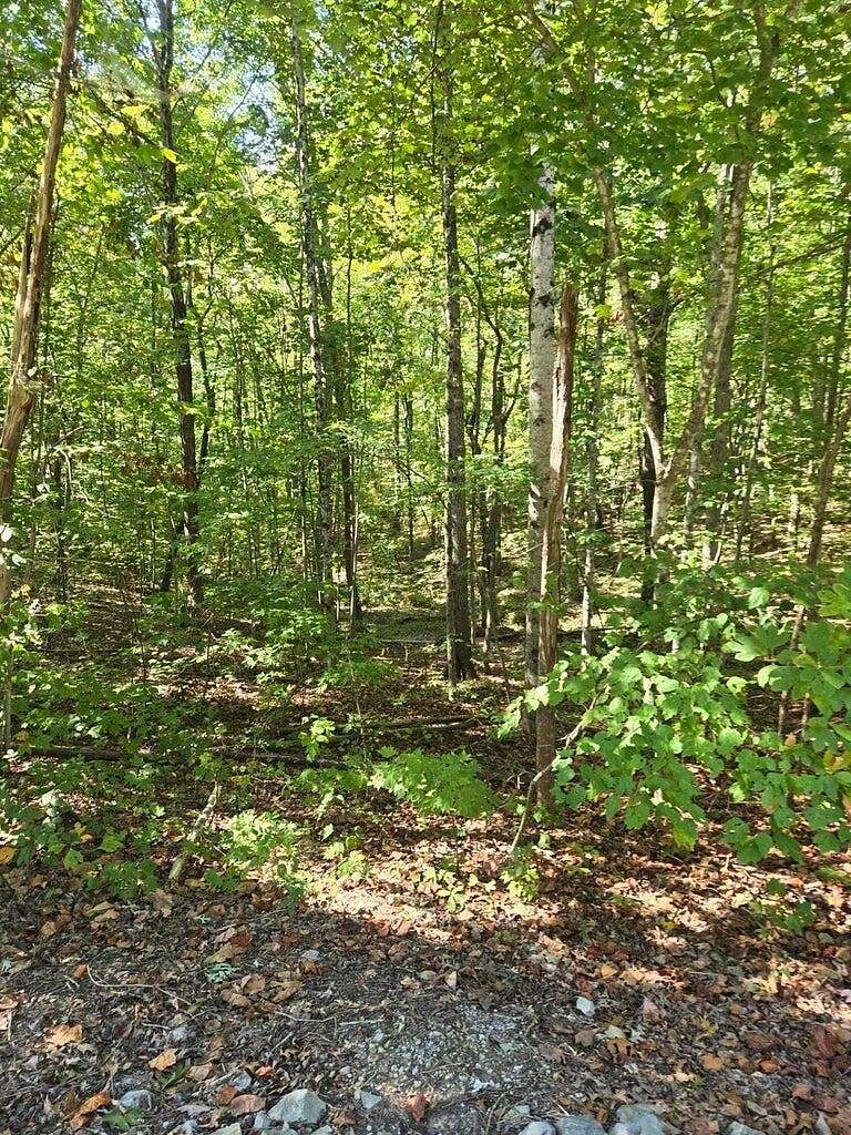 3.3 Acres of Residential Land for Sale in Graysville, Tennessee