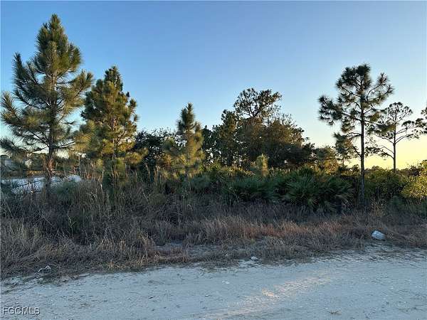 1.25 Acres of Residential Land for Sale in LaBelle, Florida