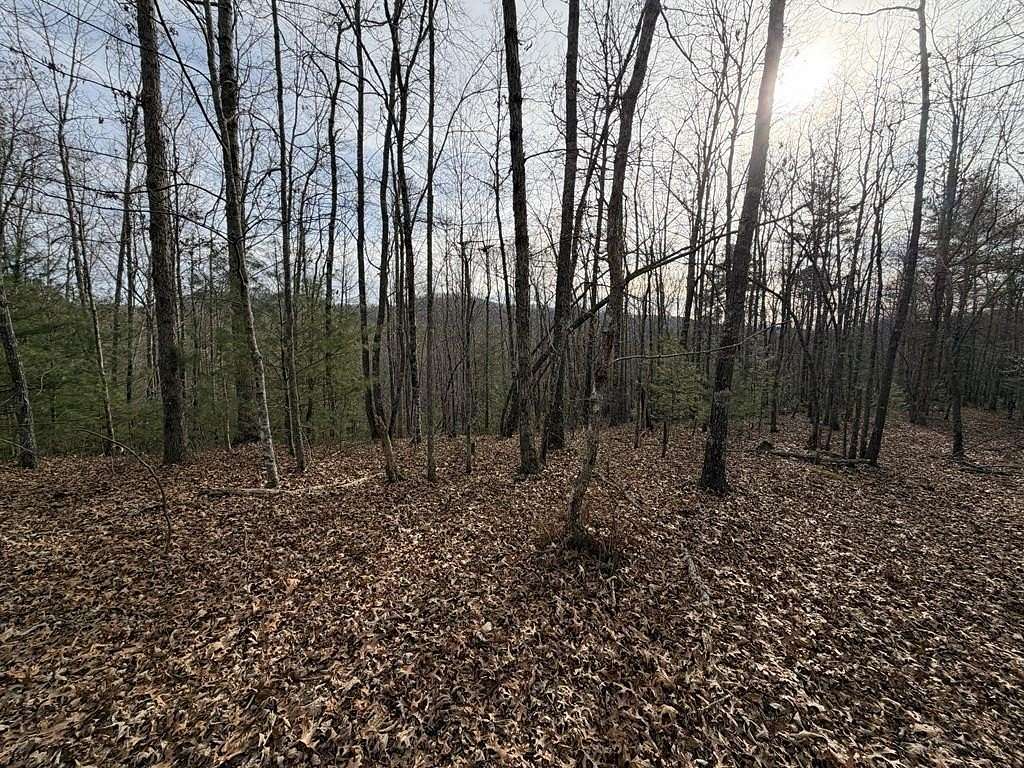 56.6 Acres of Land for Sale in Mineral Bluff, Georgia