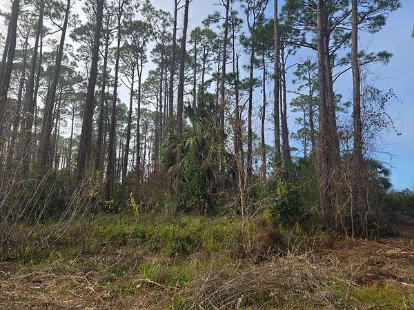 0.31 Acres of Residential Land for Sale in Port St. Joe, Florida