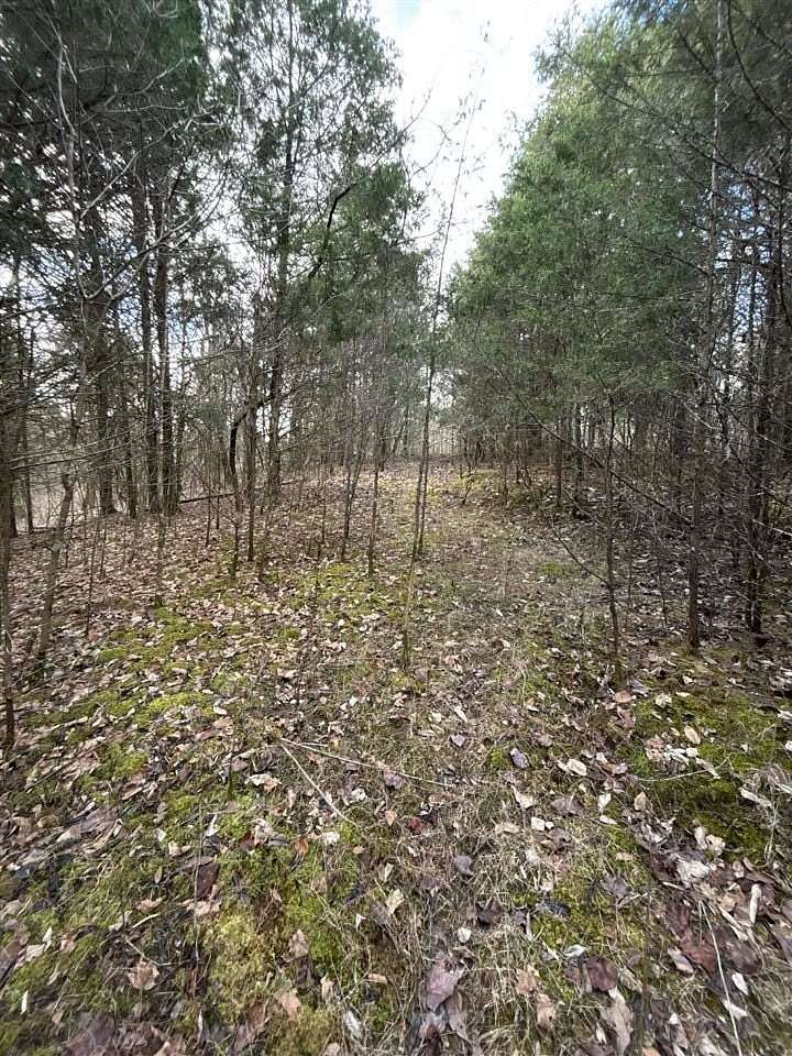 46 Acres of Recreational Land for Sale in Tompkinsville, Kentucky