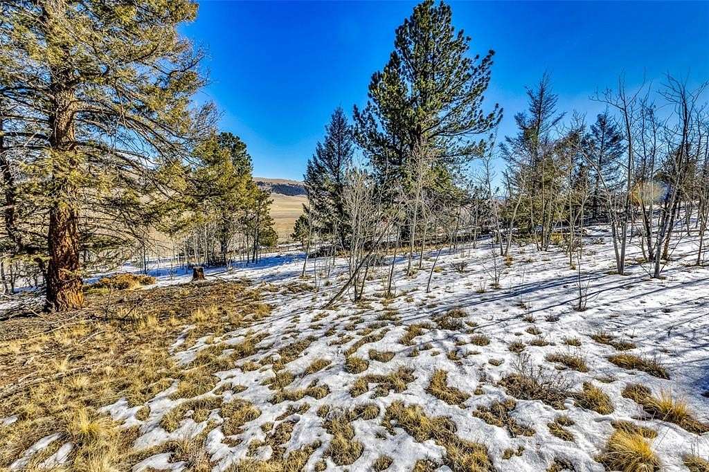 2 Acres of Residential Land for Sale in Fairplay, Colorado