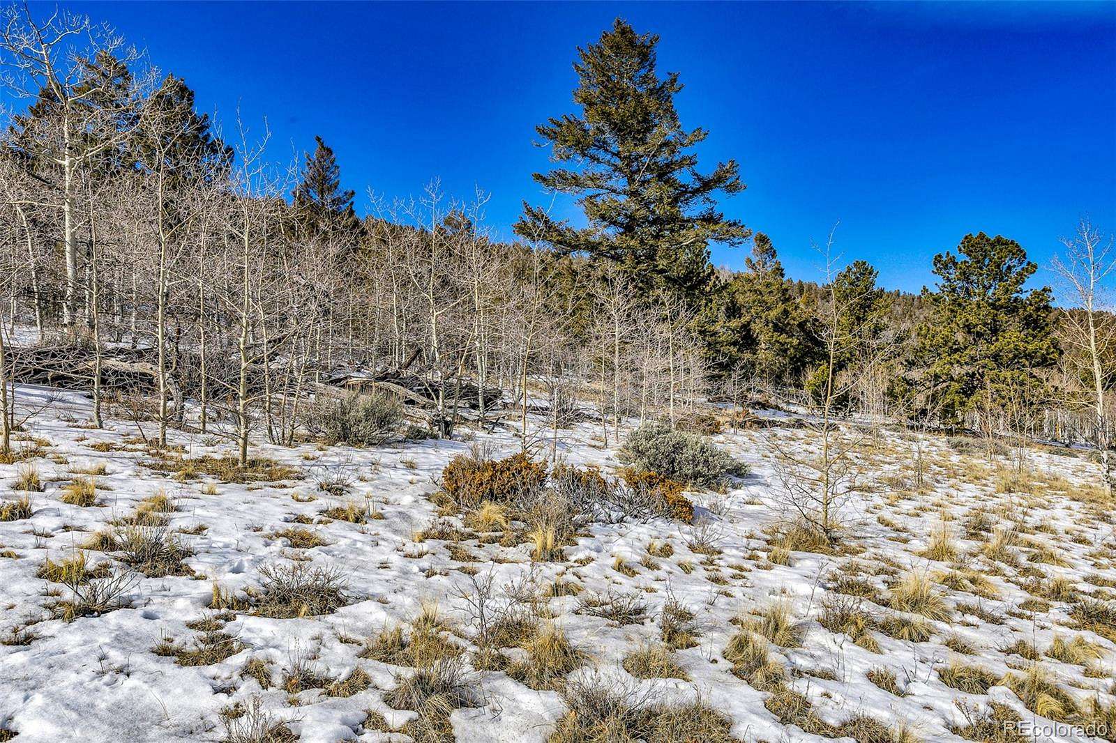 2 Acres of Residential Land for Sale in Fairplay, Colorado