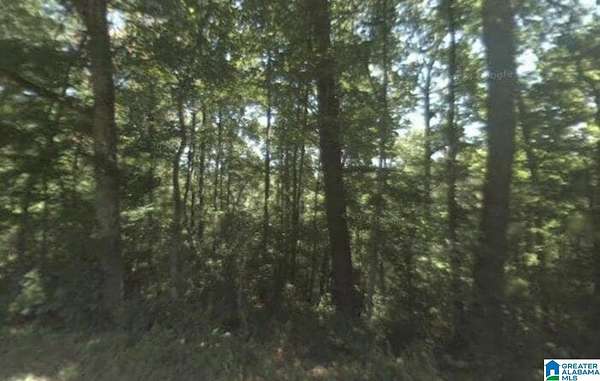 5 Acres of Land for Sale in Adamsville, Alabama