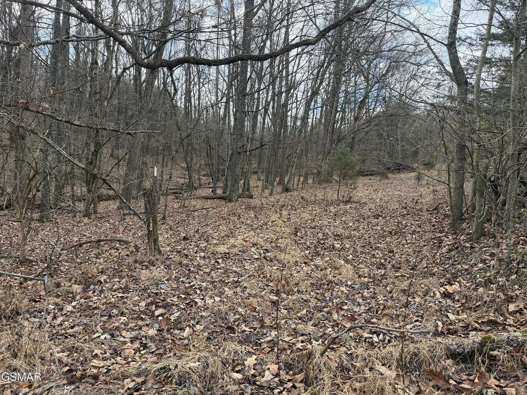3 Acres of Residential Land for Sale in Dandridge, Tennessee