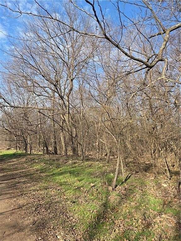 16.4 Acres of Recreational Land with Home for Sale in Lincoln, Arkansas