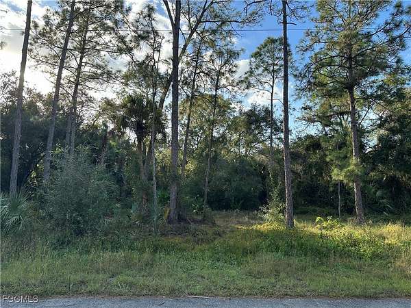 0.5 Acres of Land for Sale in Lehigh Acres, Florida