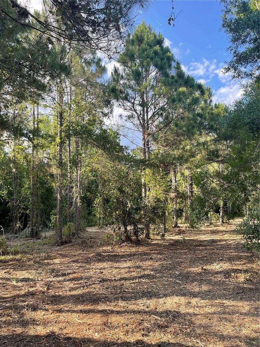 5 Acres of Land for Sale in Kissimmee, Florida