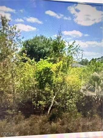 0.25 Acres of Residential Land for Sale in Lehigh Acres, Florida