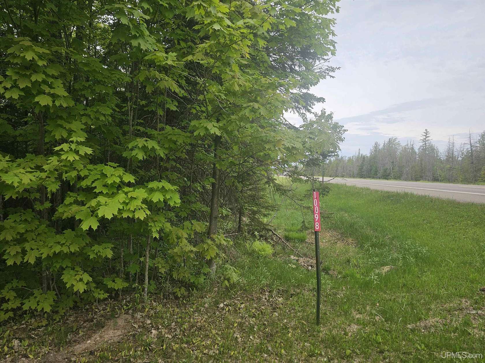 19.5 Acres of Recreational Land for Sale in Skandia, Michigan