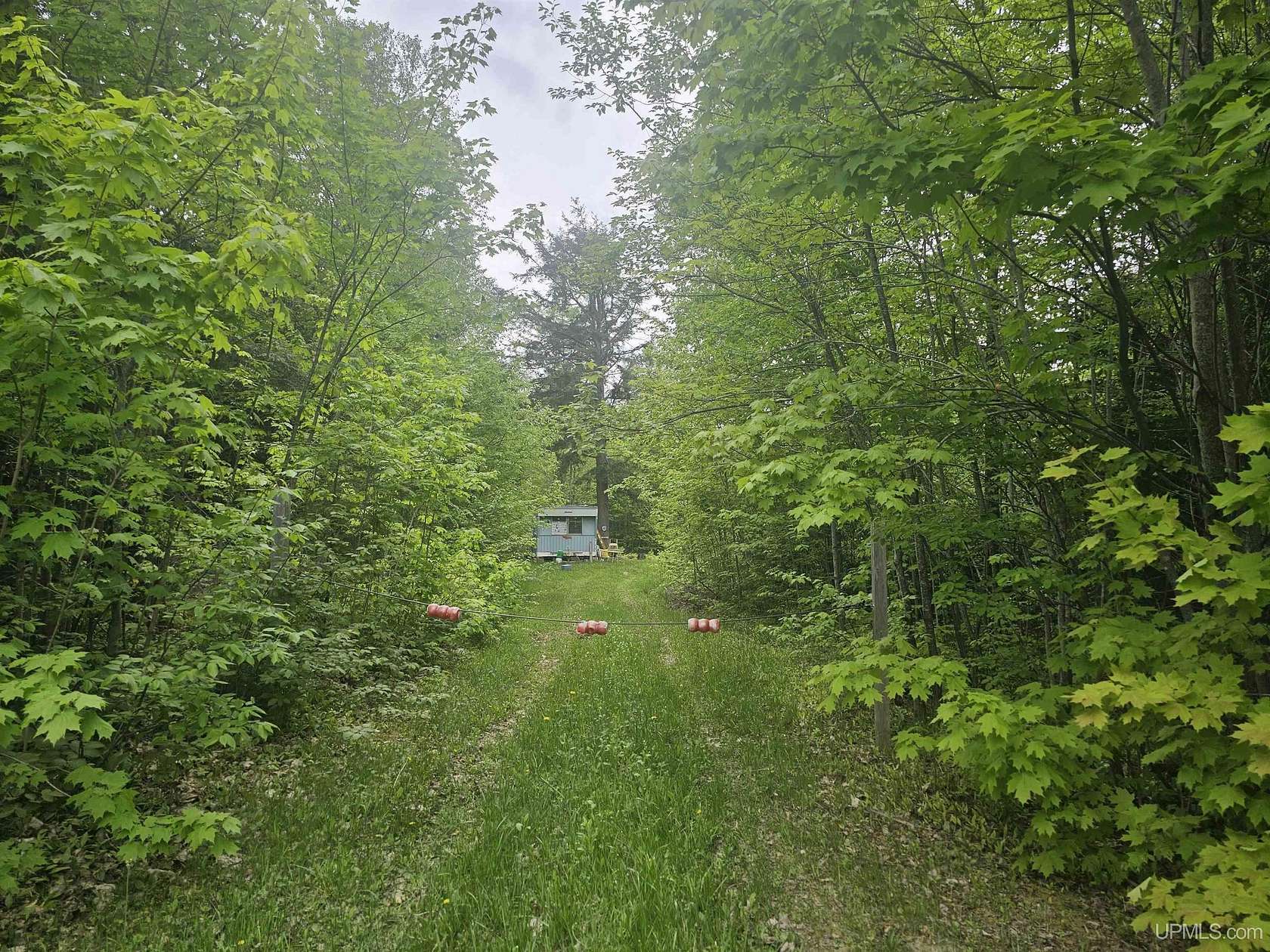 19.5 Acres of Recreational Land for Sale in Skandia, Michigan