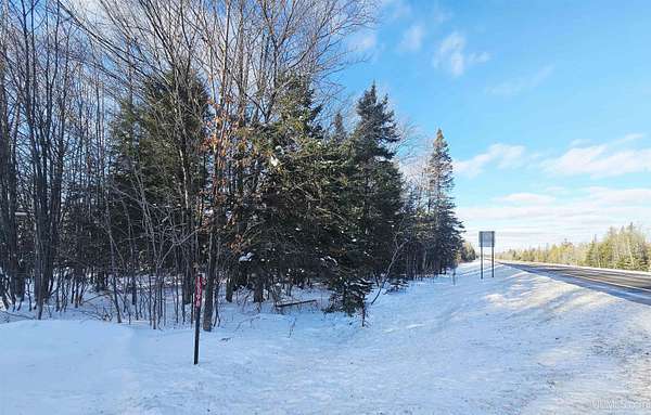 19.5 Acres of Recreational Land for Sale in Skandia, Michigan