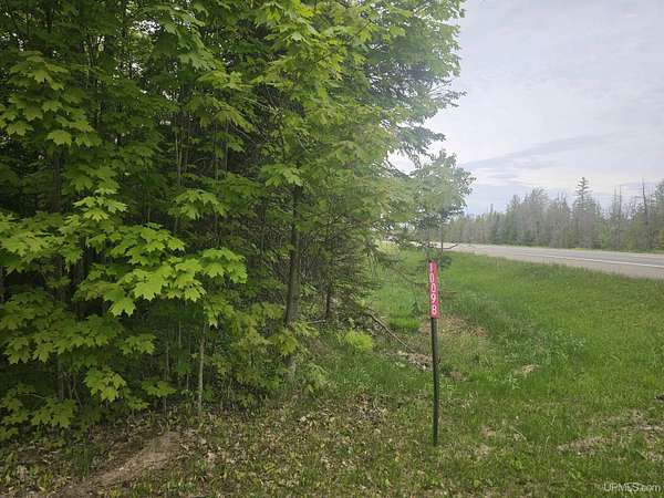 19.5 Acres of Recreational Land for Sale in Skandia, Michigan