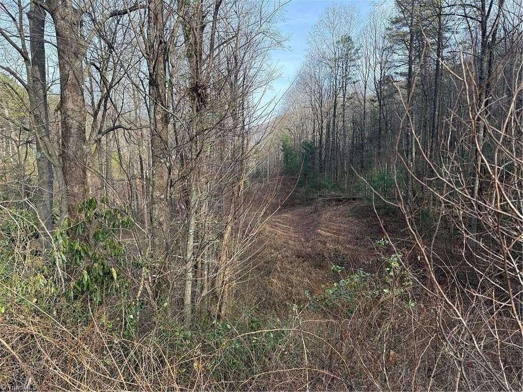 10.3 Acres of Recreational Land for Sale in Traphill, North Carolina