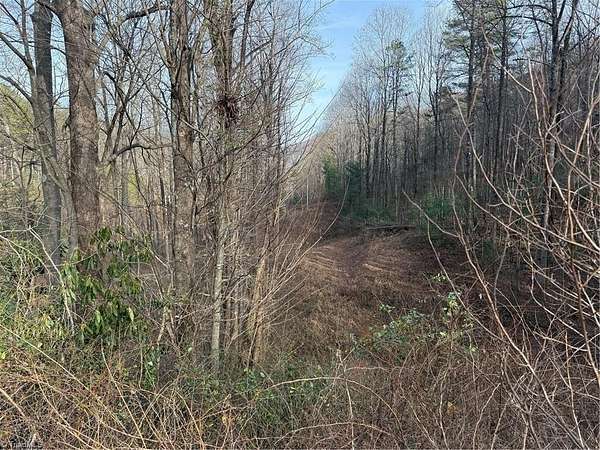 10.3 Acres of Recreational Land for Sale in Traphill, North Carolina
