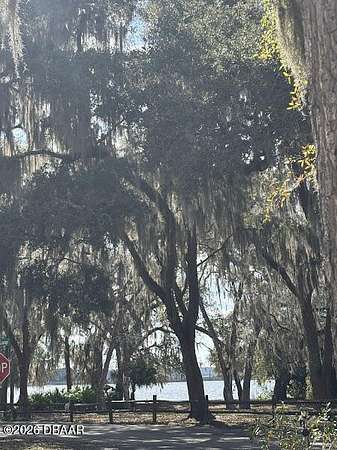 0.05 Acres of Residential Land for Sale in Salt Springs, Florida