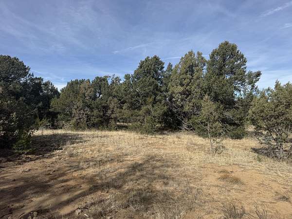1 Acre of Land for Sale in Tijeras, New Mexico