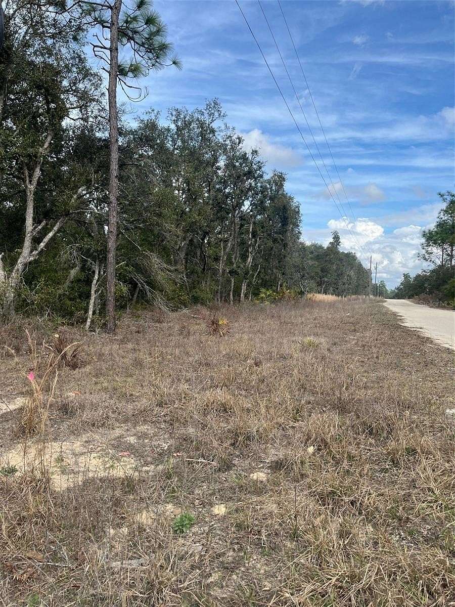 1.25 Acres of Residential Land for Sale in Bronson, Florida