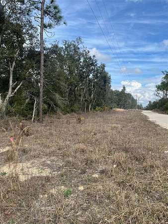 1.25 Acres of Residential Land for Sale in Bronson, Florida