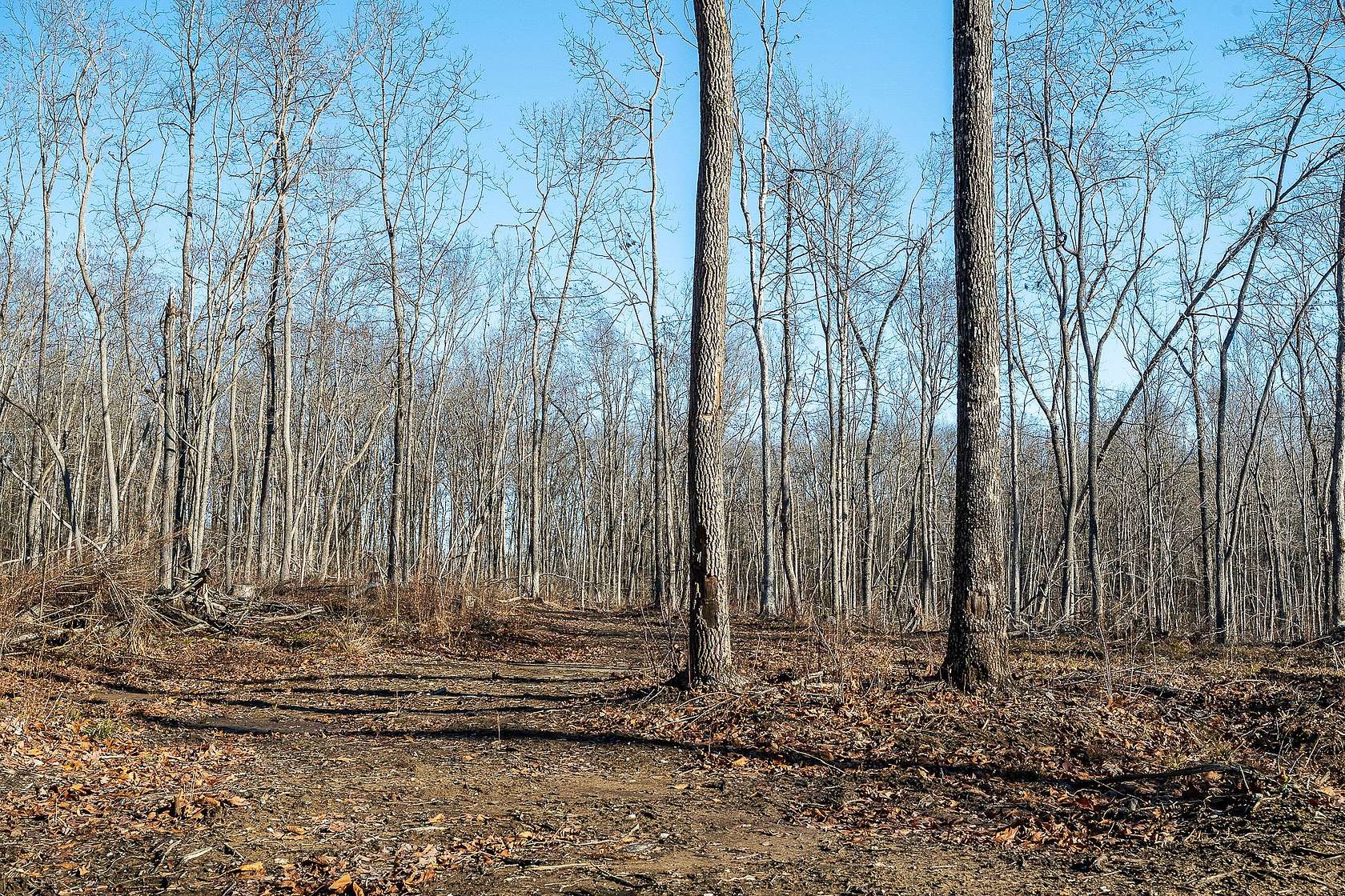 4.72 Acres of Residential Land for Sale in Crossville, Tennessee