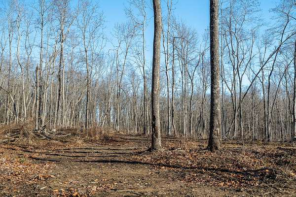 4.72 Acres of Residential Land for Sale in Crossville, Tennessee