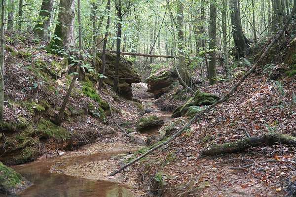 78.8 Acres of Recreational Land for Sale in Guin, Alabama