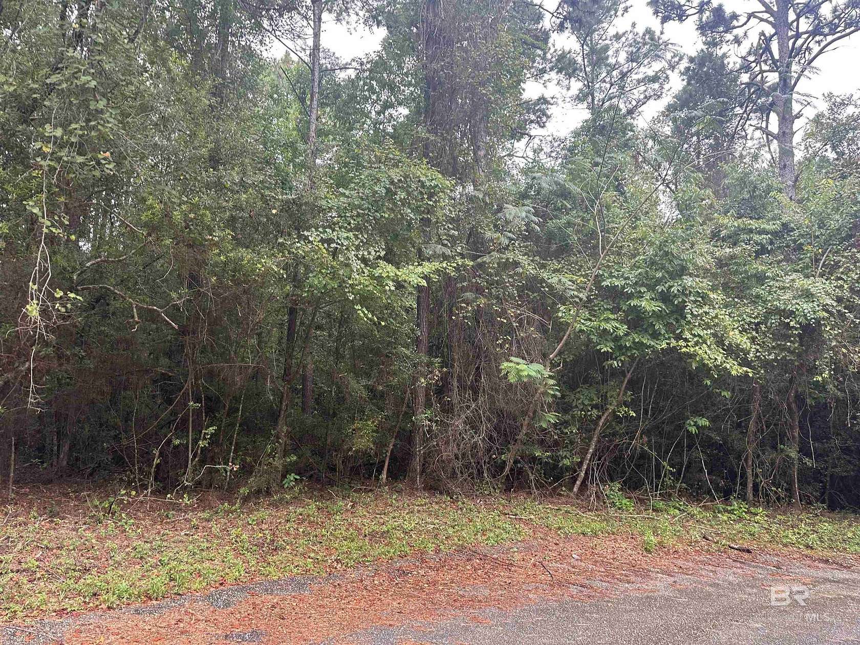 0.86 Acres of Residential Land for Sale in Saraland, Alabama