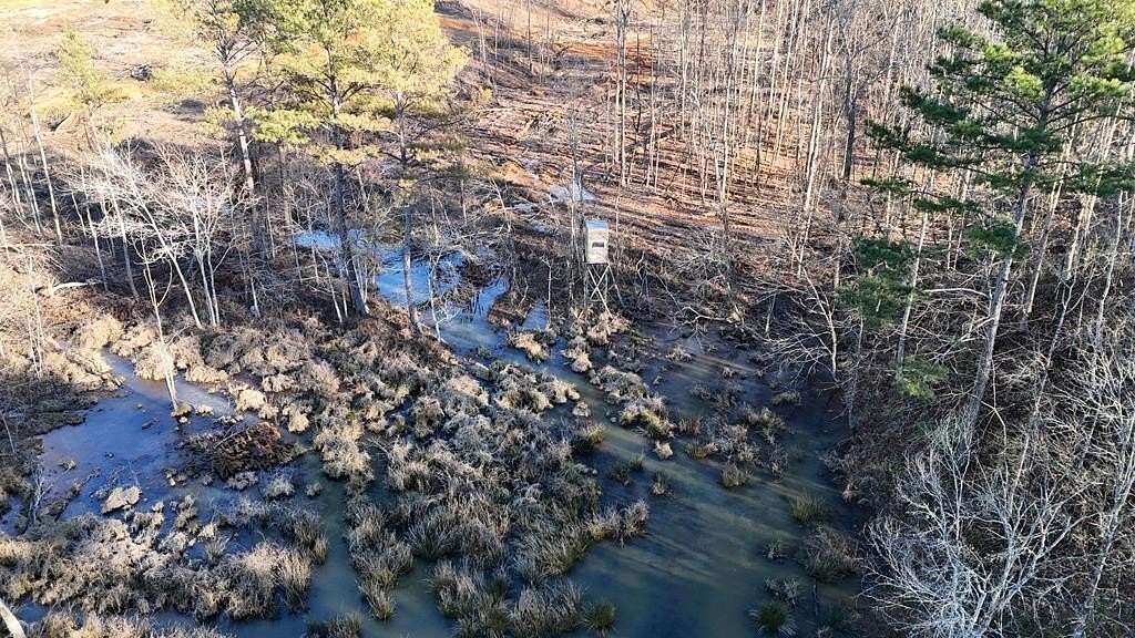 61.3 Acres of Recreational Land for Sale in New Albany, Mississippi