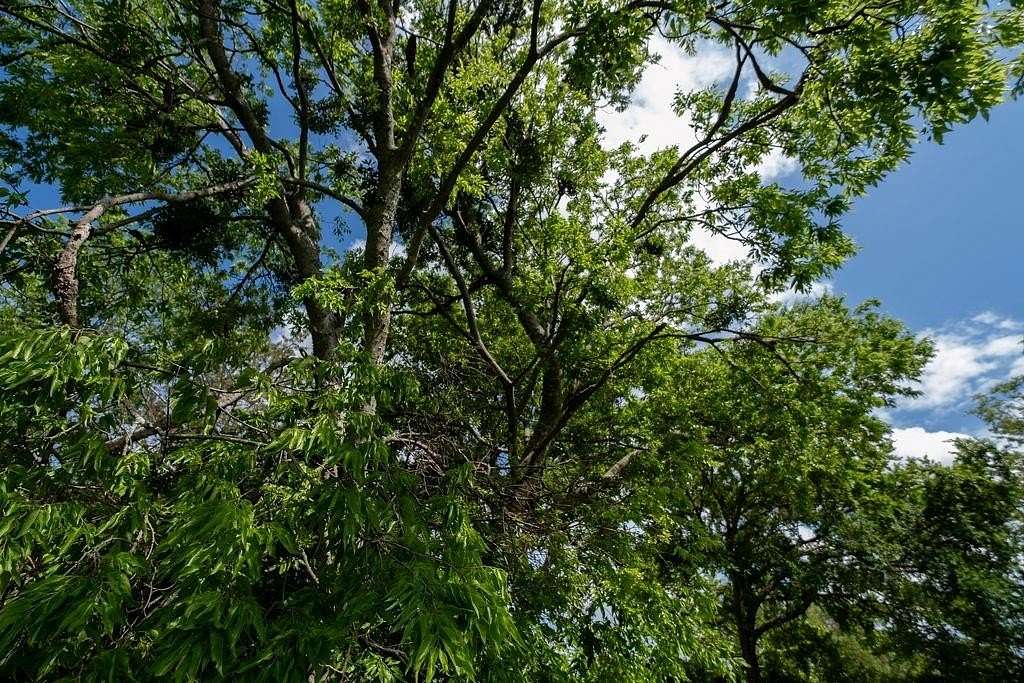 0.19 Acres of Land for Sale in Terrell, Texas