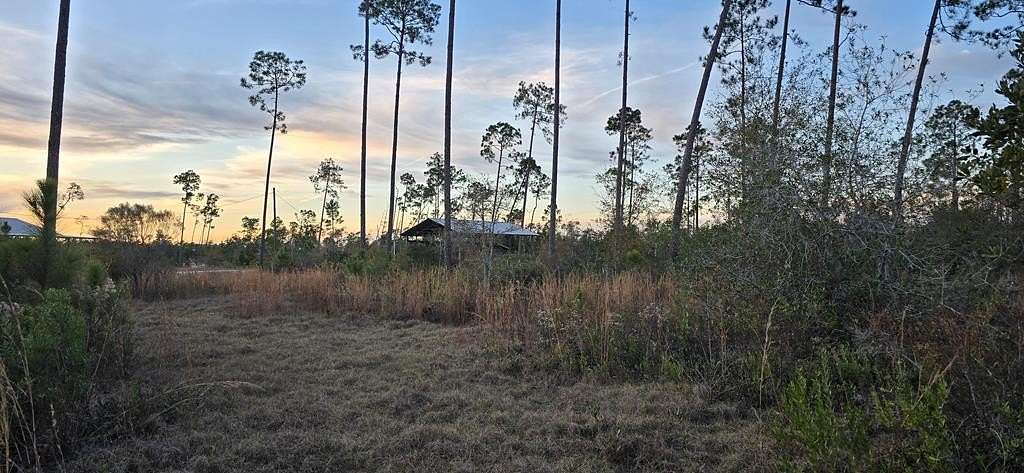 9.59 Acres of Residential Land for Sale in Wewahitchka, Florida