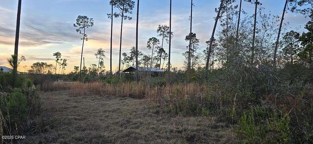 9.59 Acres of Land for Sale in Wewahitchka, Florida