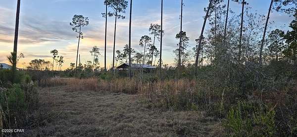 9.59 Acres of Land for Sale in Wewahitchka, Florida
