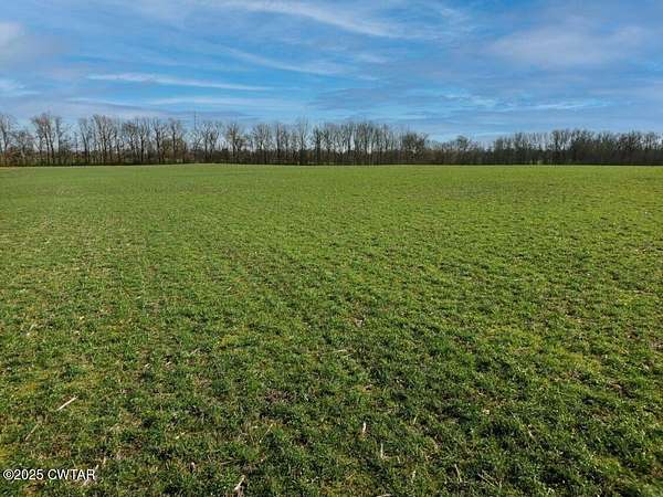 31 Acres of Agricultural Land for Sale in Brownsville, Tennessee