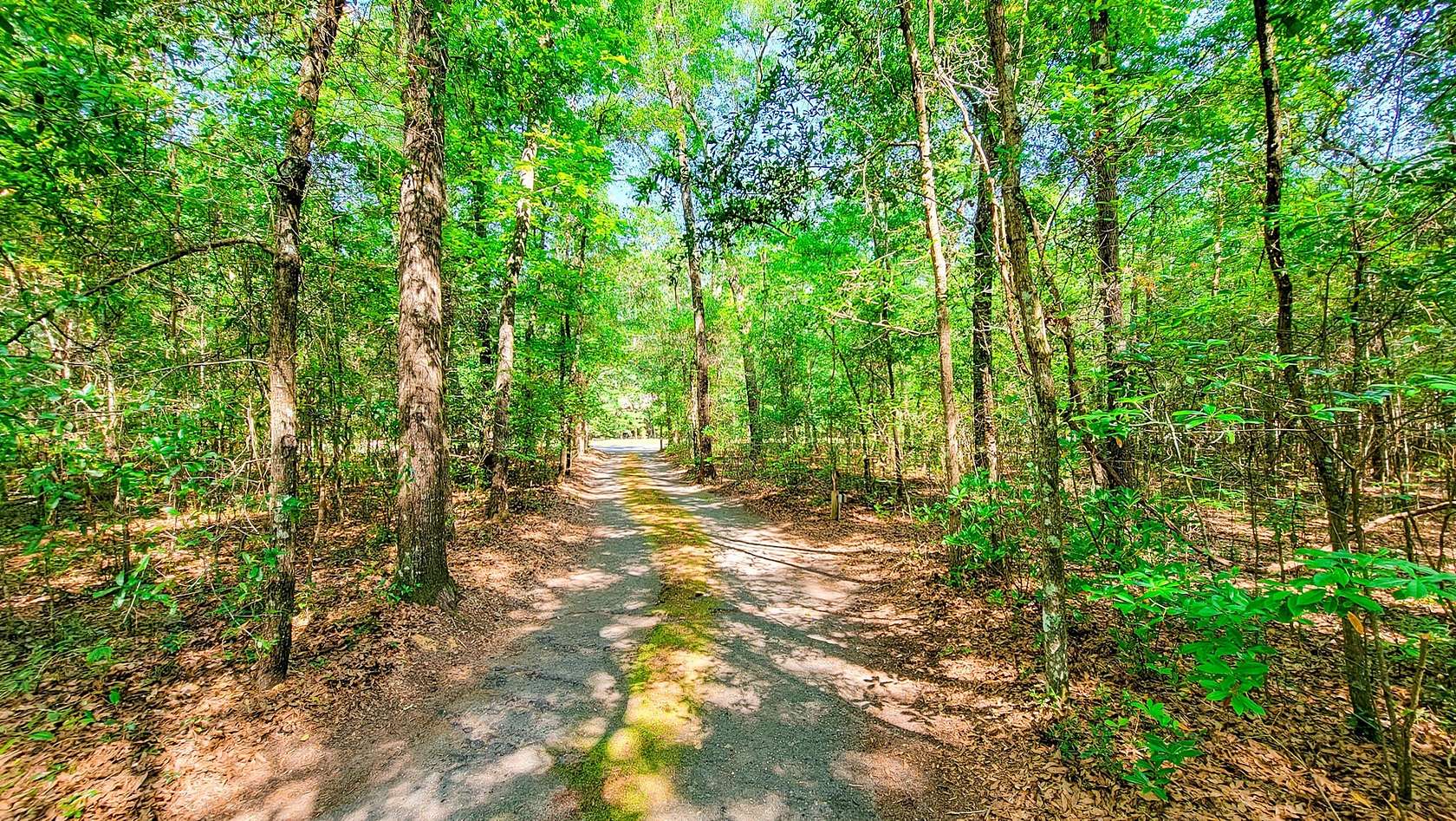 5.43 Acres of Residential Land with Home for Sale in Walterboro, South Carolina