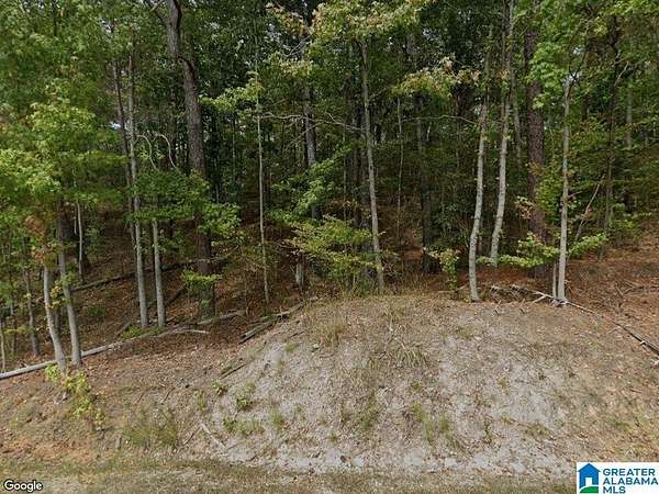 1.29 Acres of Land for Sale in Adger, Alabama