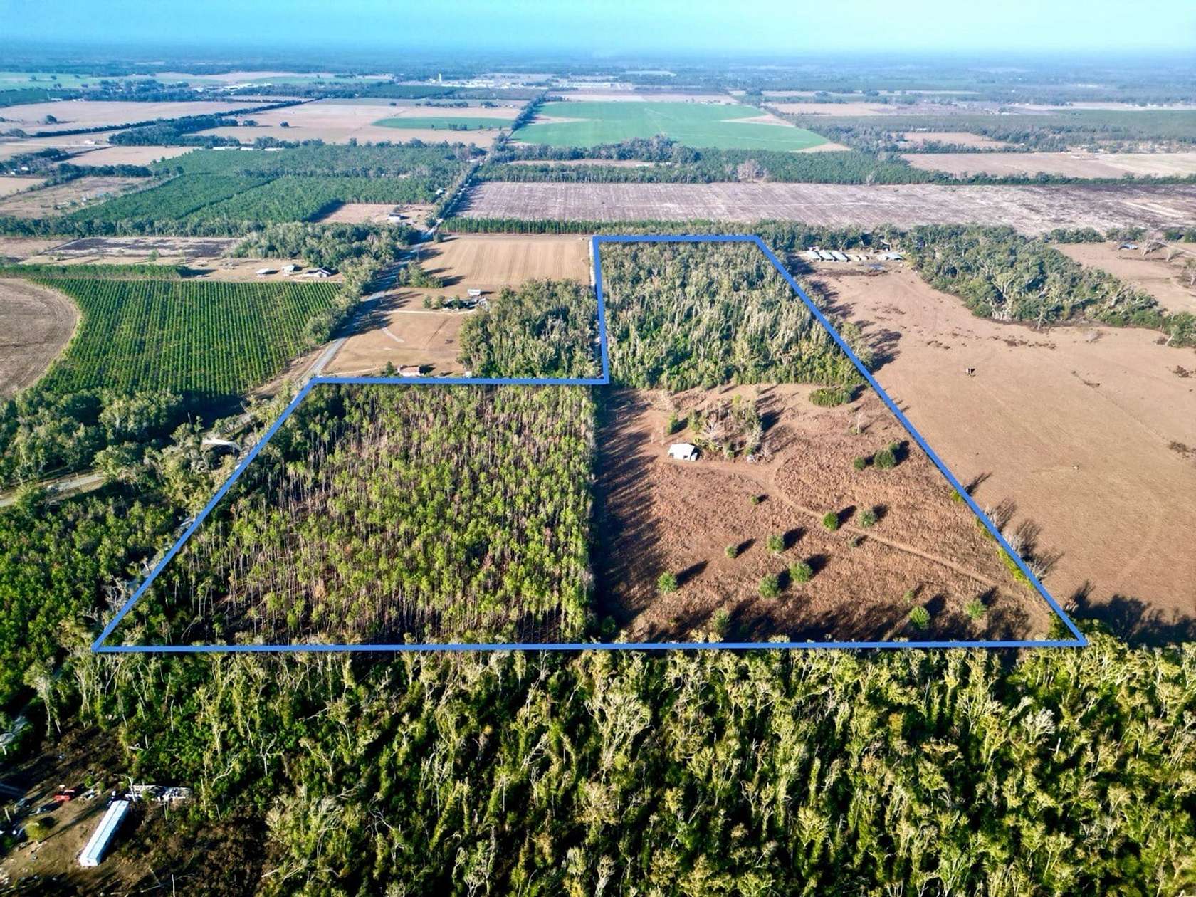 54.2 Acres of Recreational Land & Farm for Sale in Mayo, Florida