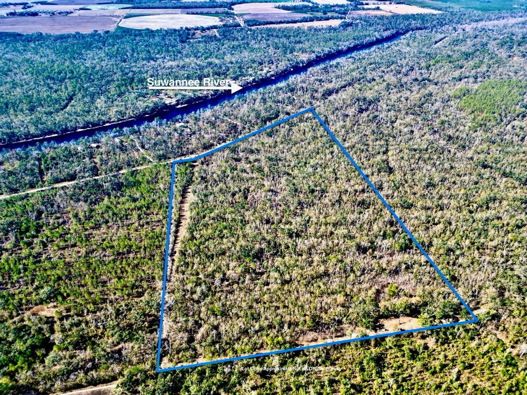 50.7 Acres of Recreational Land for Sale in Live Oak, Florida