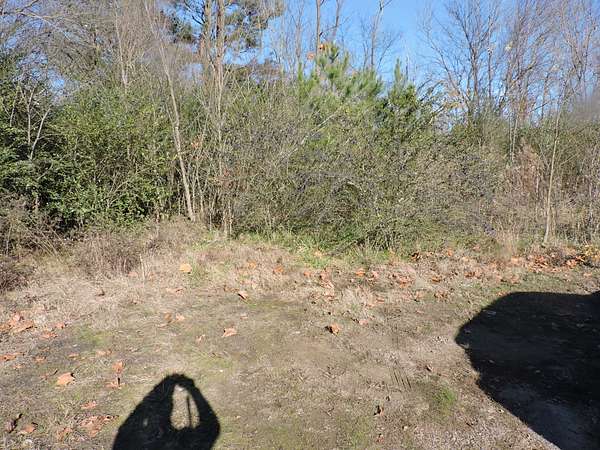 1 Acre of Residential Land for Sale in Waldron, Arkansas