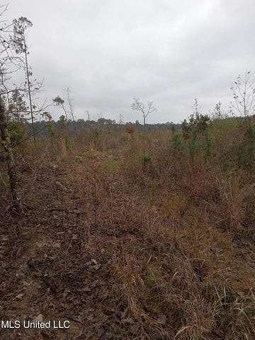 66.5 Acres of Land for Sale in Gloster, Mississippi